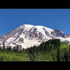 Meet your Posher, Amie